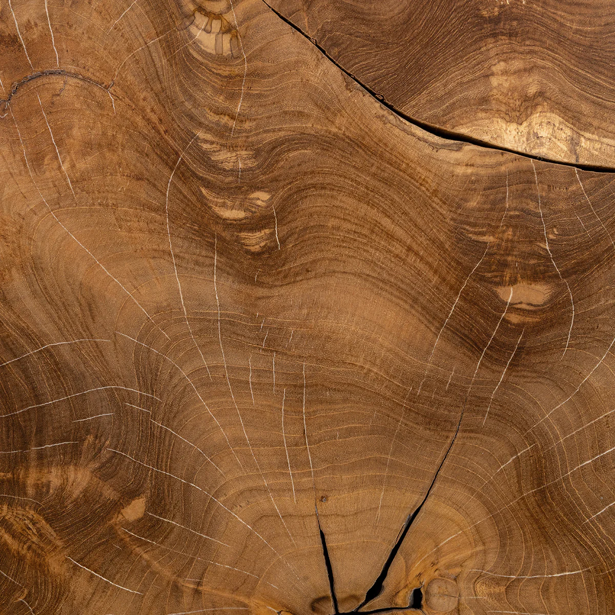 Rhea Coffee Table - Natural - Image 6